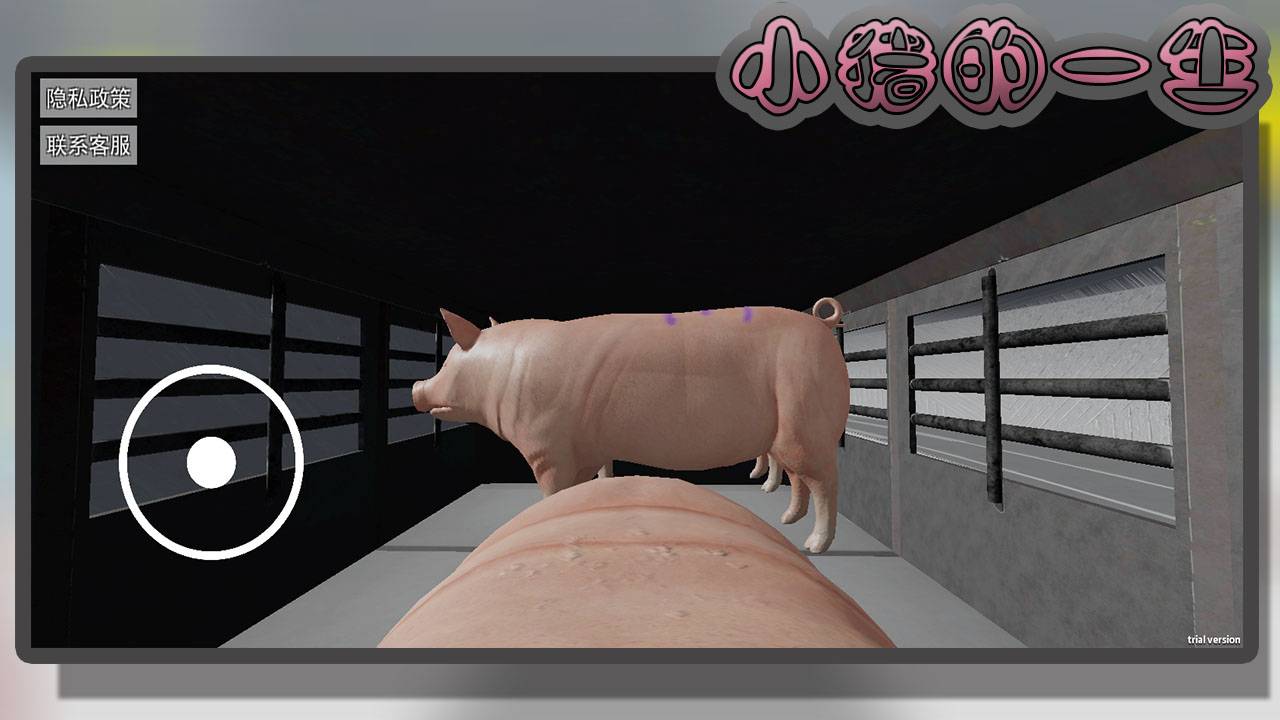 小猪的一生游戏截图