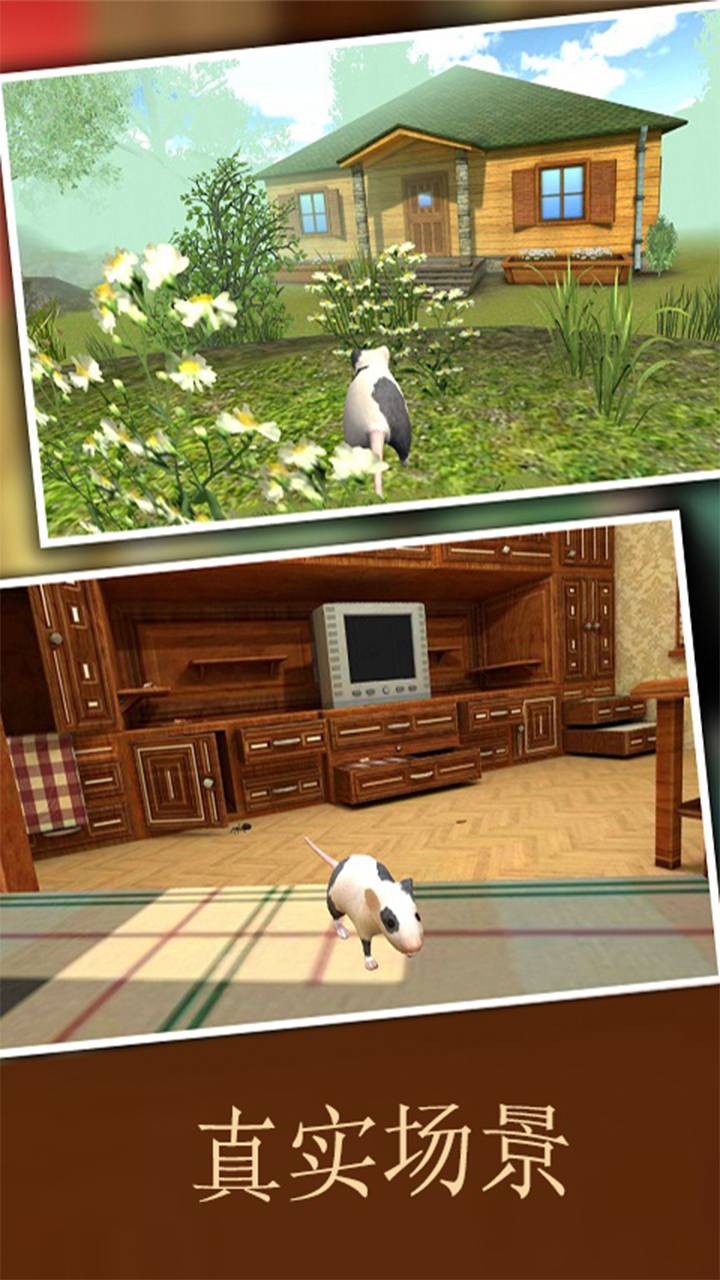 疯狂地鼠3d模拟游戏截图