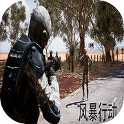 风暴行动游戏Logo