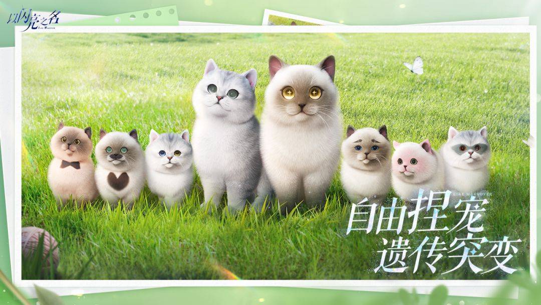 游戏画面截图5