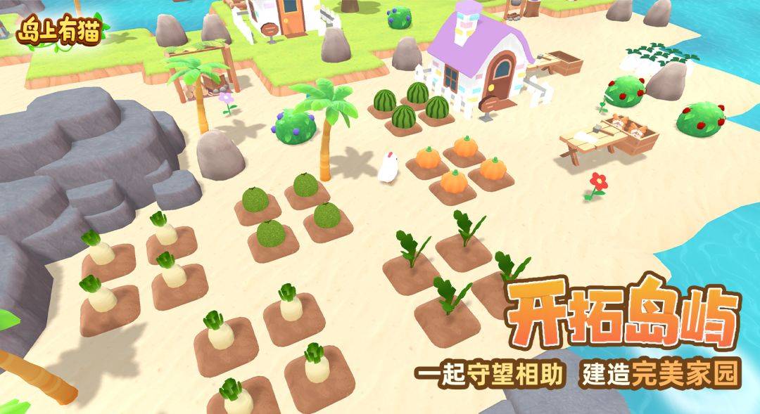 岛上有猫游戏截图