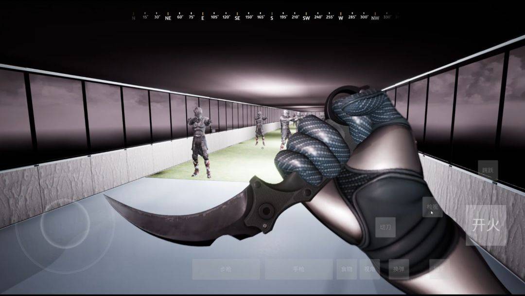 日辉夜影游戏截图