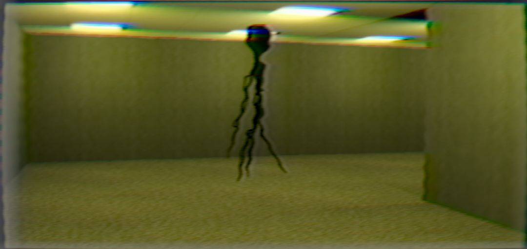 后室之声游戏截图