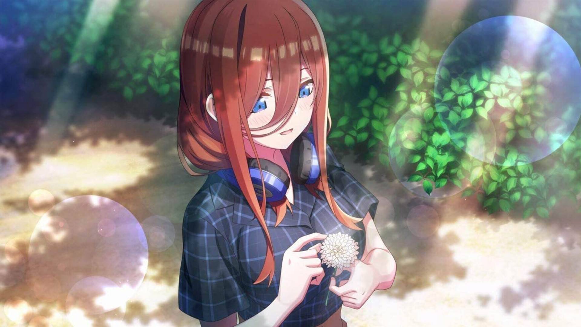 五等分的新娘∬截图5