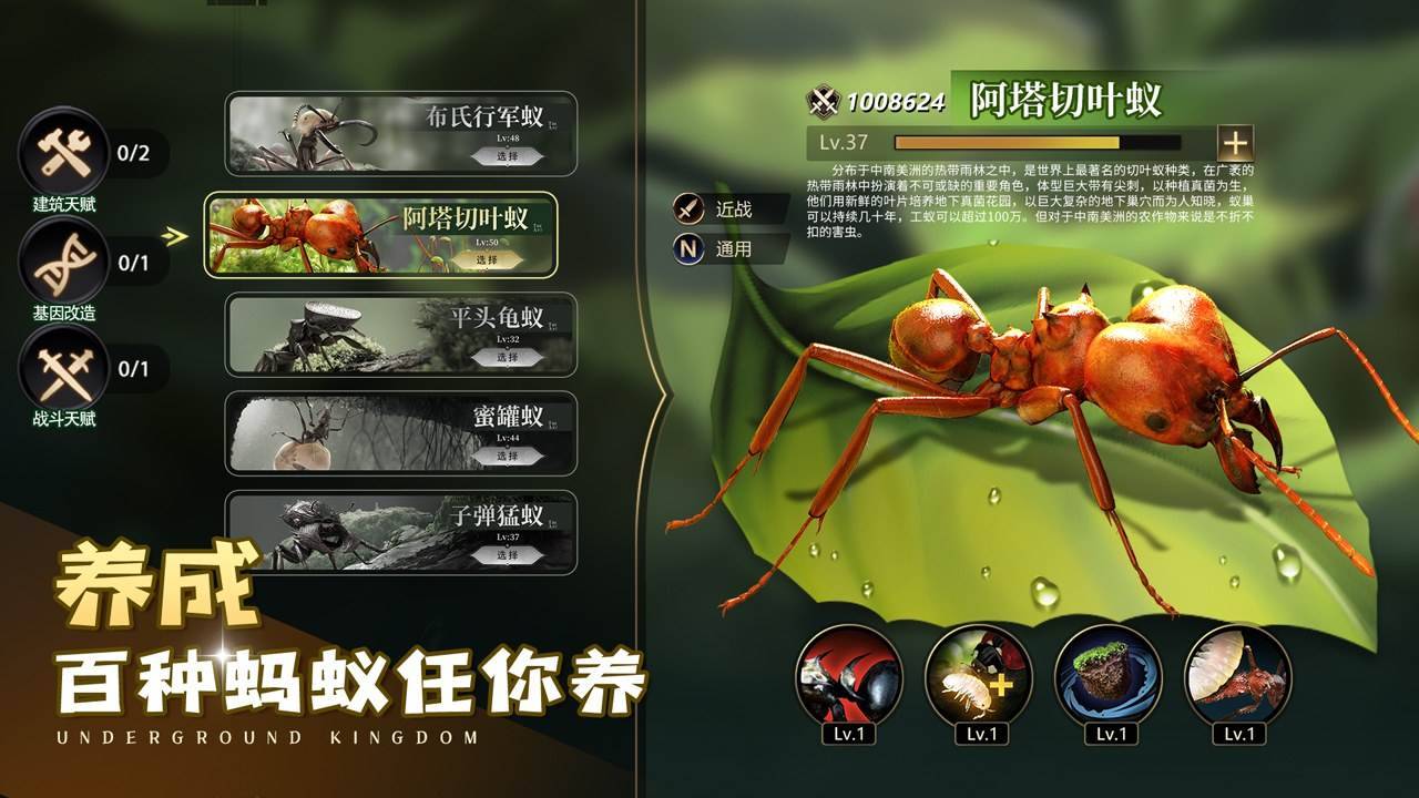 游戏画面截图1