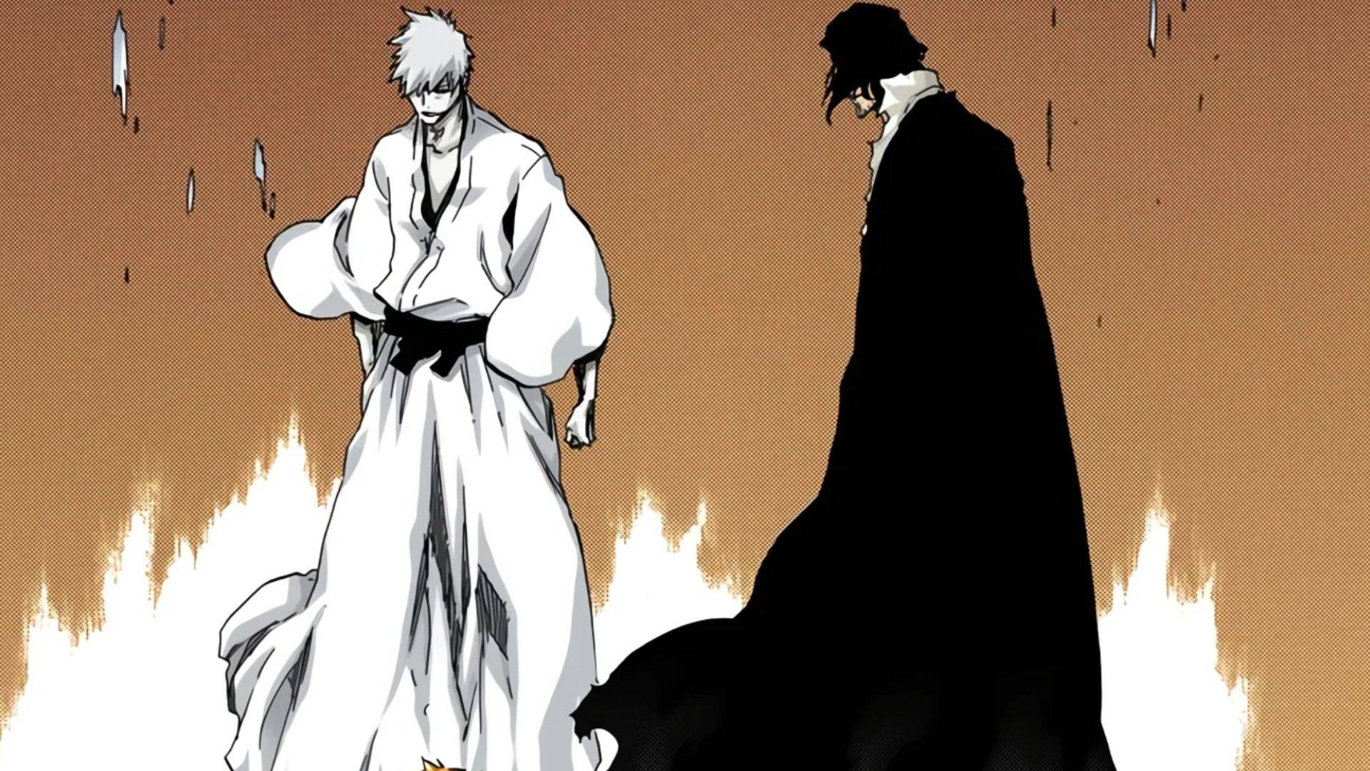《BLEACH》白一护与友哈巴赫对峙场景