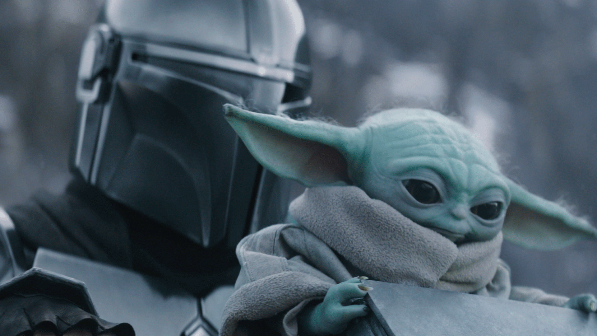 《曼达洛人与格罗古》核心角色经典同框画面