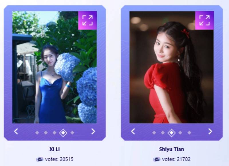 李思思组两位候选人投票对比界面