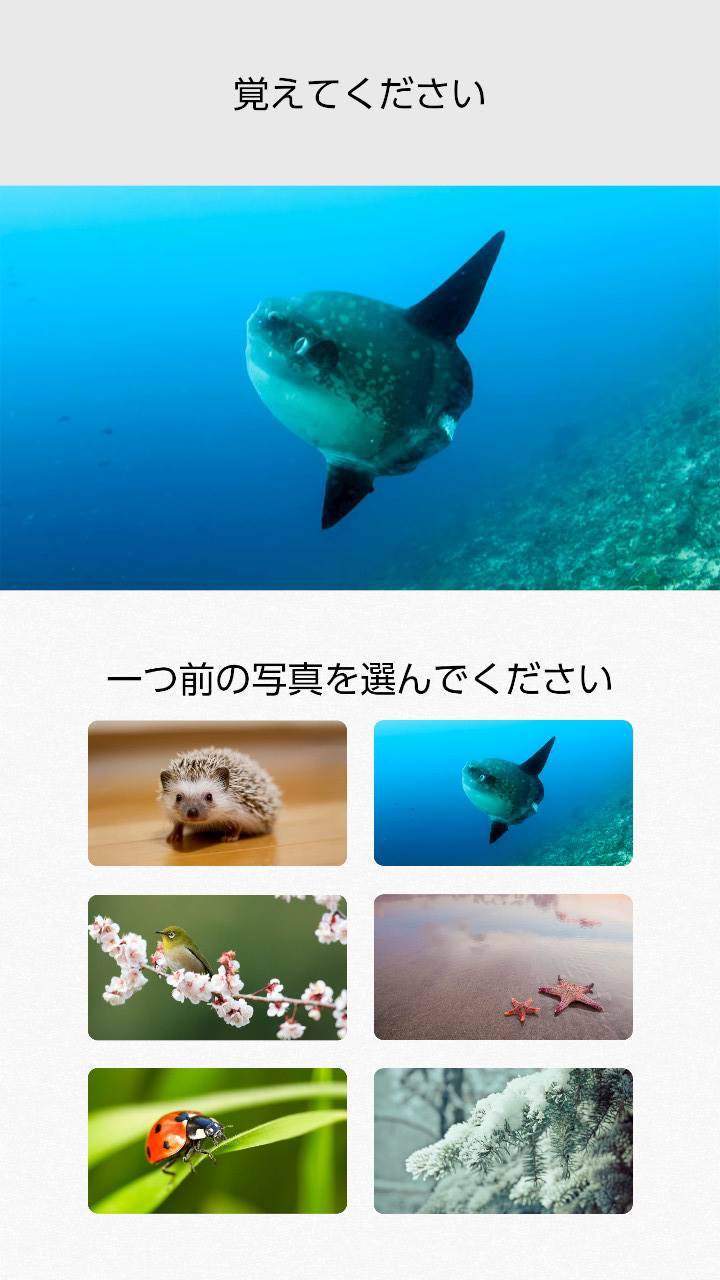 游戏画面截图2