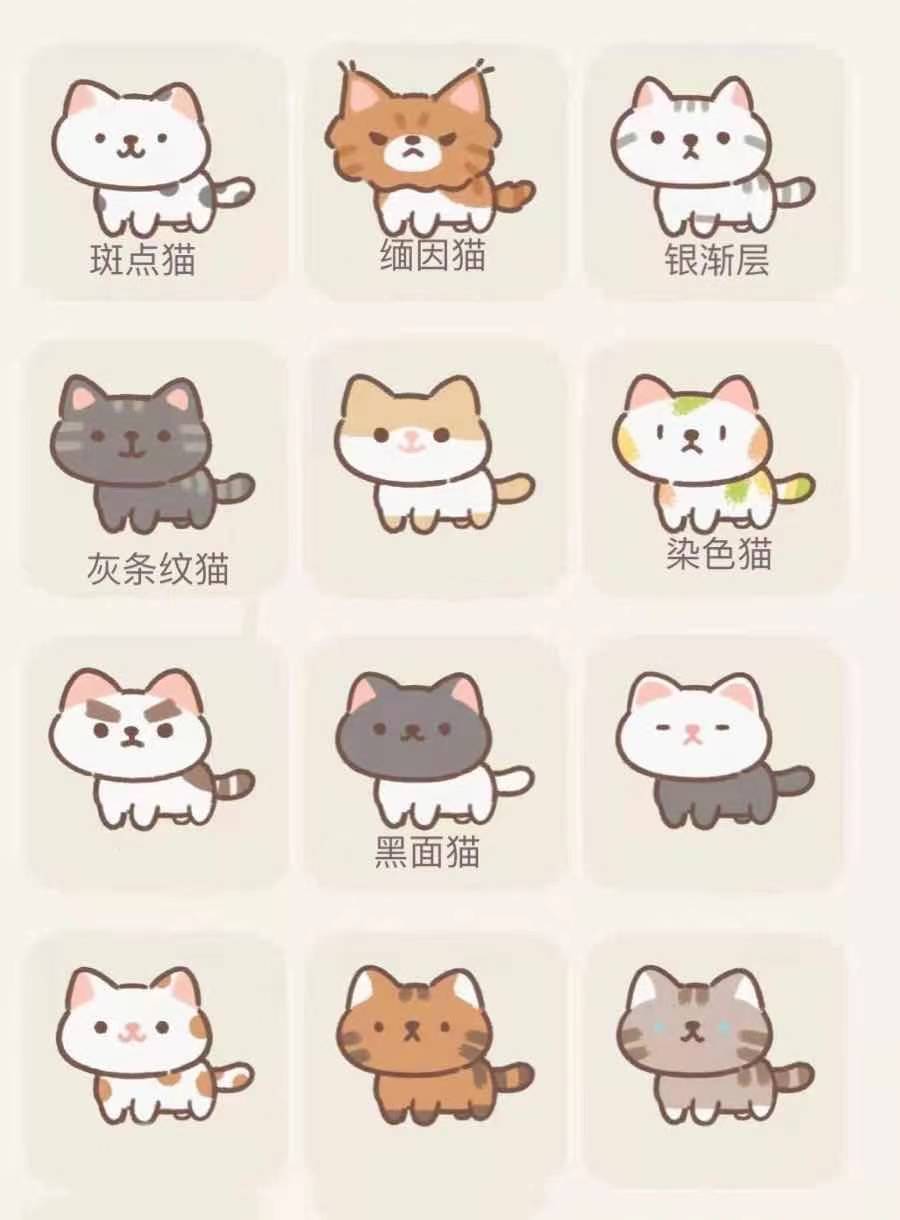 猫猫相关场景图