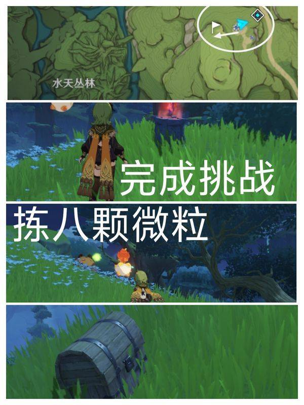 捡草微粒挑战位置