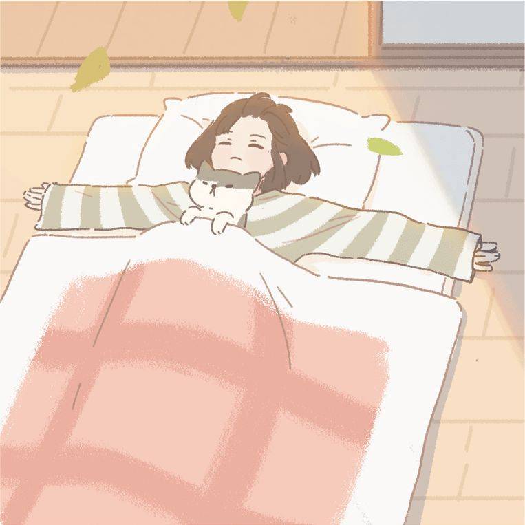 《遇见你的猫》触发猫圈道具详细介绍